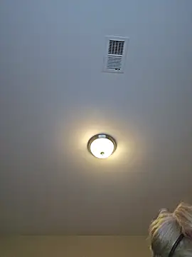 AmethystFoxx's Live XXX Chat