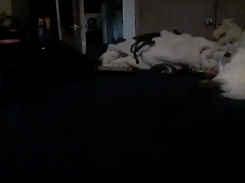 Chat +18 de Silencio26 ao vivo