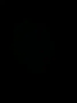 havixi Webcam-Show