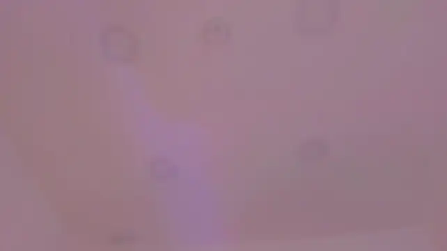 צ'אט XXX בשידור חי של kaylarossi