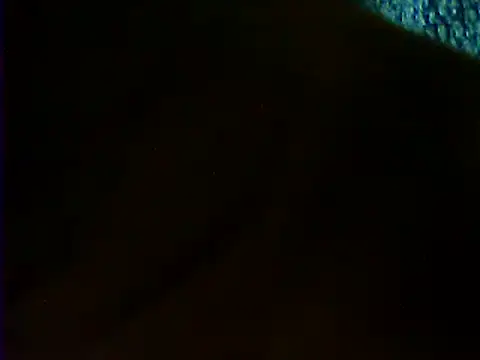 VeneRed's Live XXX Chat