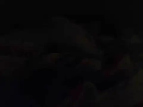 k-dongのウェブカメラショー