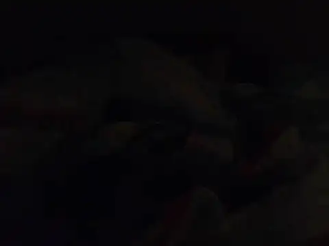 Sembang XXX Secara Langsung k-dong