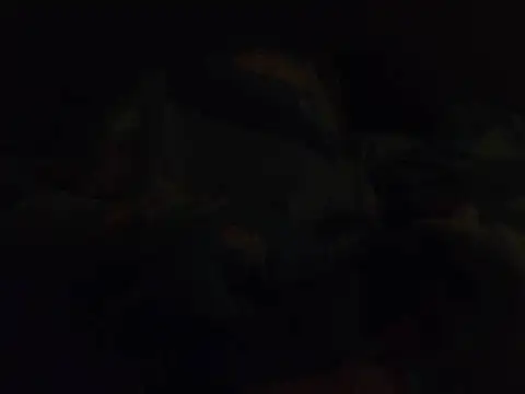 k-dong Webcam-Show