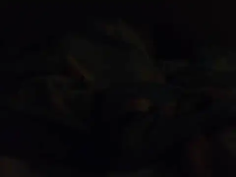 Вебкам-шоу k-dong