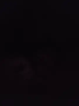 Bigfoda's Live XXX Chat