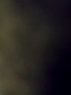 1982mar Webcam-Show
