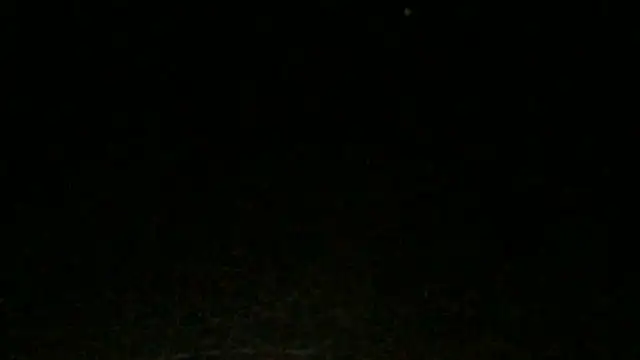 Uncle_Shaggy's Live XXX Chat