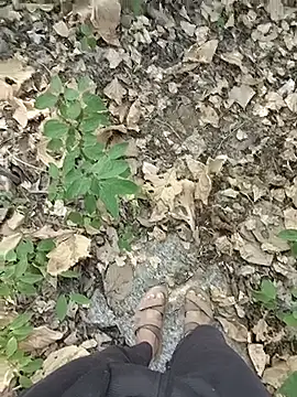 Forest_lover24: απευθείας συνομιλία ΧΧΧ