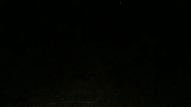Chat XXX ao vivo de Uncle_Shaggy