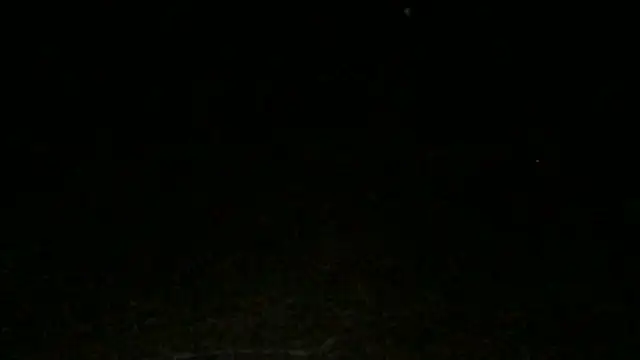 Uncle_Shaggy's Live XXX Chat