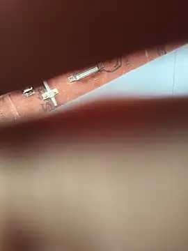 anj143のウェブカメラショー