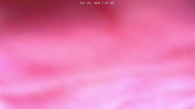 ashleywowmeow Live XXX-Chat