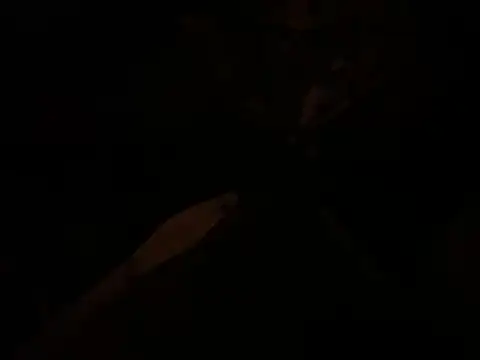Jaylon420's Webcam Show