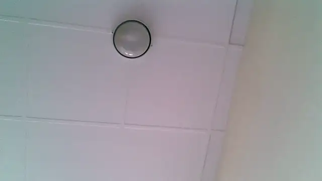 Chat +18 de ORUOMA ao vivo