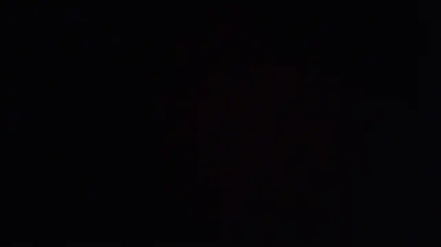 flowernnet Live XXX-Chat