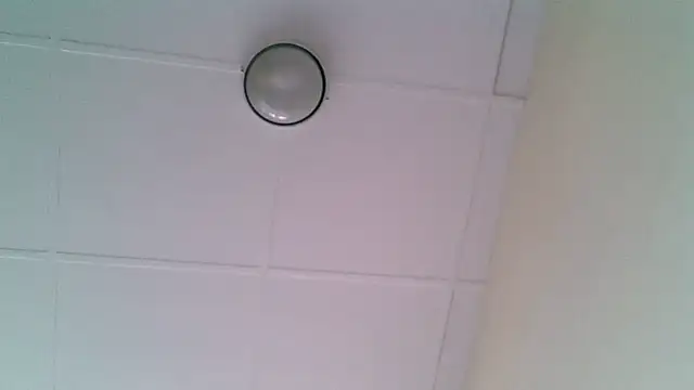 ORUOMA Live XXX-Chat