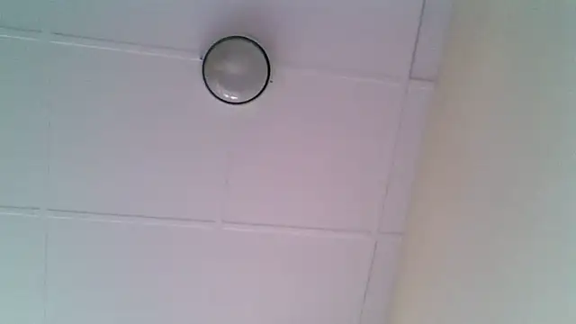 ORUOMA Live XXX-Chat