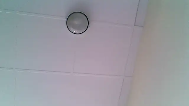 Chat +18 de ORUOMA ao vivo