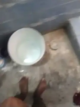 Wet_BunnyFunn Webbikameraesitys