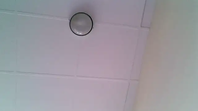 ORUOMA Live XXX-Chat