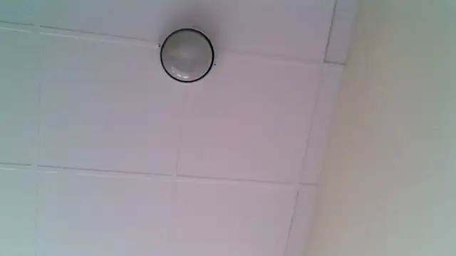 ORUOMA Live XXX-Chat