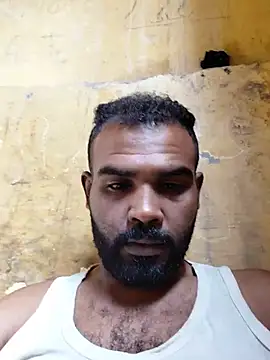 عرض كام Lion_meis