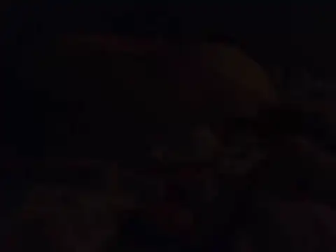 k-dong's Live XXX Chat