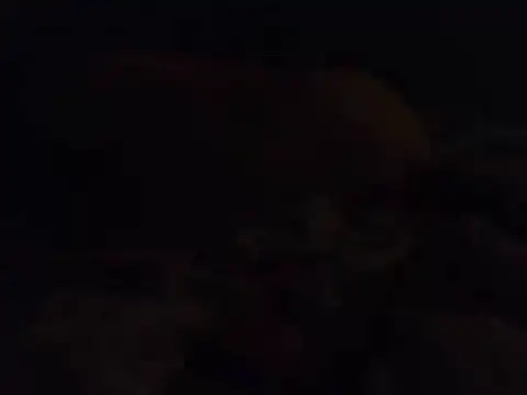 k-dong's Webcam Show
