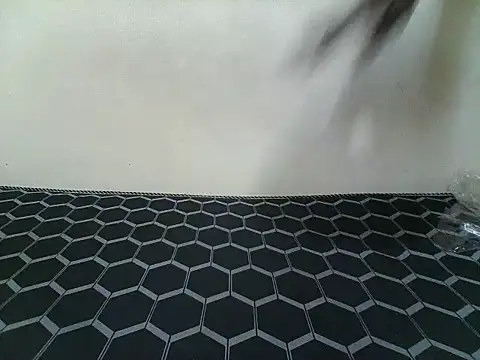 Eva_unwok লাইভ XXX চ্যাট
