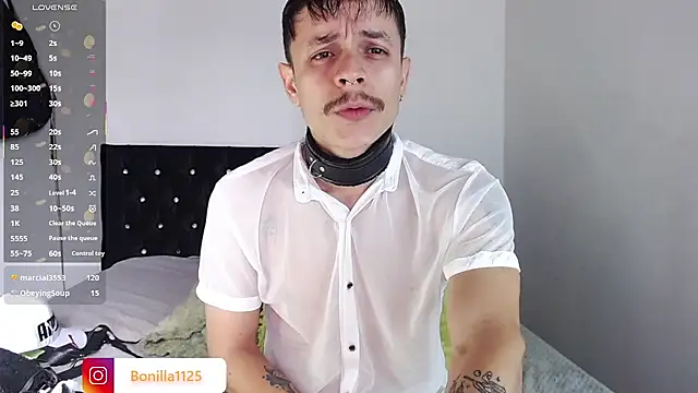 Show de PaleVibes na webcam