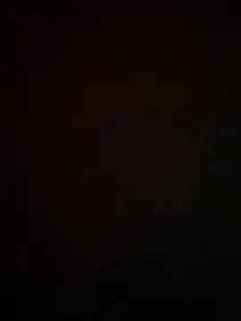 Show webcam de GavinGray