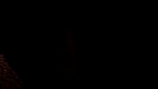 Вебкам-шоу Supvshsh467