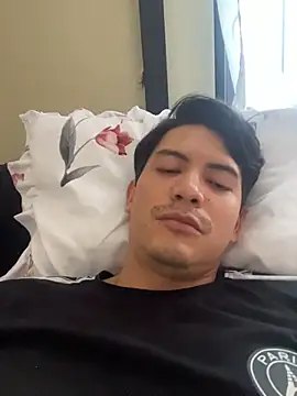 ElvisKingHotn Webbikameraesitys
