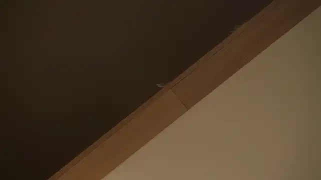 ElinPoston 라이브 XXX 채팅