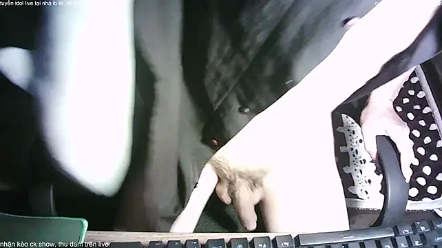Chat +18 de Kangc369 ao vivo