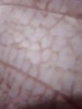 Smaiaz 现场XXX聊天