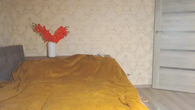 Chat +18 de DolphinDreams ao vivo