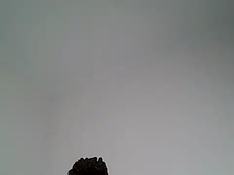 sexyAssVivian_'s Live XXX Chat