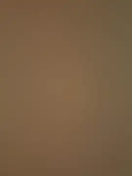 LOlilli Show Webcam
