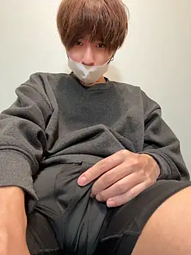 JPTopModelのウェブカメラショー