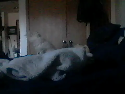 Silencio26 Pertunjukan Webcam