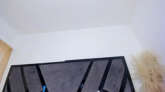 Webkamerová show BellaAndDominick