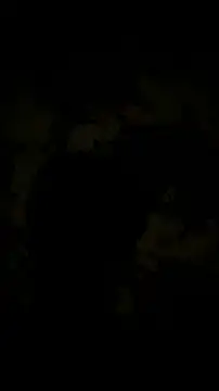 CouplingCry Show Webcam