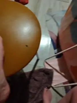 kiciakocia32 – Naživo XXX chat