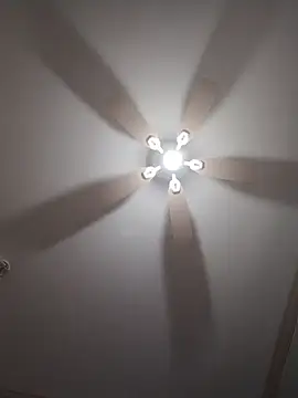 ReallyReallyReal's Live XXX Chat