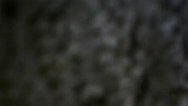 crassanova live XXX chat