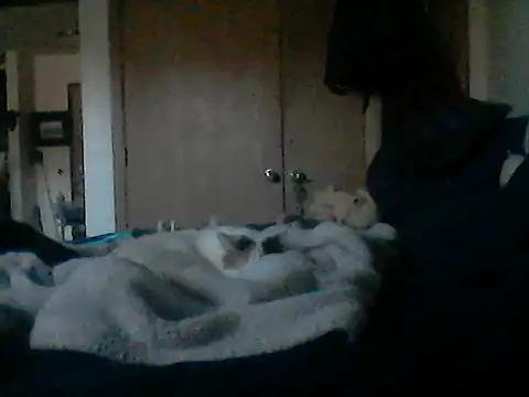 Silencio26 Webcamshow