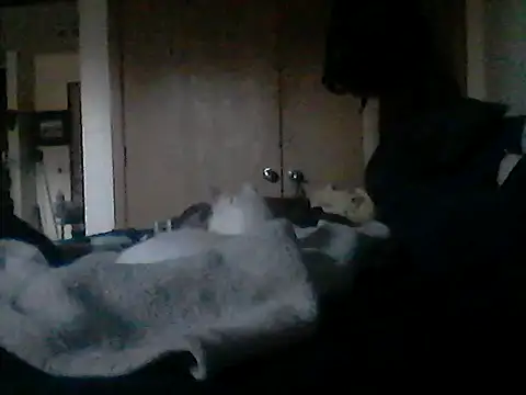 Silencio26 Webcam show