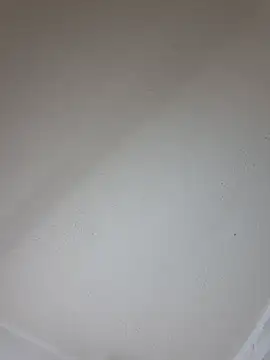 XladycharmeのライブXXXチャット